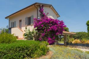 A garden outside La Guardiola - Capo Perla