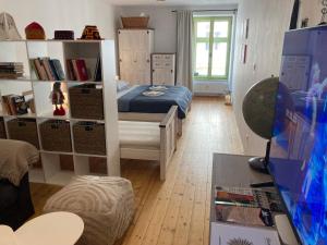 Televízia a/alebo spoločenská miestnosť v ubytovaní Apartmán č.2