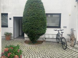 a bike parked next to a building with a large bush at Bienenstube in Venningen +8 photos