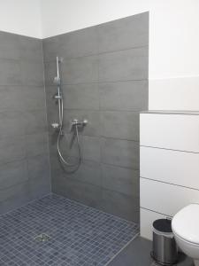 a bathroom with a shower with a toilet at Victoria Living in Jockgrim +84 photos