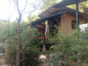 Zahrada ubytování Mook Bamboo Bungalows