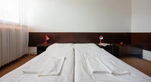 Fotografie z fotogalerie ubytování Hotel SOREA MARMOT v Demänovské dolině
