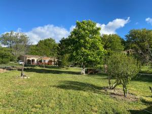 a yard with a tree and a picnic table at Lou Souleu in Sisteron