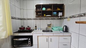 een kleine keuken met een spoelbak en een magnetron bij Cómodo Dúplex en Puerto Iguazú in Puerto Iguazú