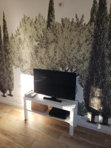 a flat screen tv on a white table in a room at Maisonnette au cœur de Lauris in Lauris