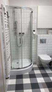 Kúpeľňa v ubytovaní Apartament Nad Starą Odrą