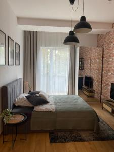 Televízia a/alebo spoločenská miestnosť v ubytovaní Apartament Nad Starą Odrą