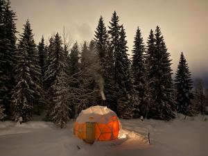 利勒哈默尔Dome Glamping with shared bathroom的树前雪地里的橙色帐篷