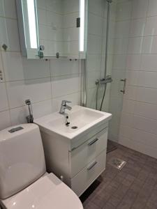 a bathroom with a toilet and a sink and a mirror at City Apartment Hilla in Rovaniemi +5 photos