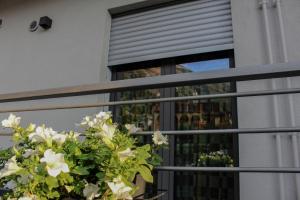 a pot of white flowers on a balcony at Case Vacanza IGNAZIO SILONE in Celano +5 photos