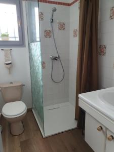 a bathroom with a shower with a toilet and a sink at Le Temps d'une Pause in Andert-et-Condon +10 photos