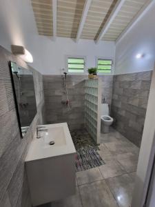 a bathroom with a sink and a shower and a toilet at Appartement Multipliant in Deshaies