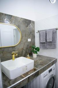 a bathroom with a sink and a washing machine at Lisia Residence #1 in Piatra Neamţ