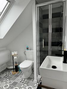 a white bathroom with a toilet and a shower at Studio 3ème étage - Centre-ville - Local vélos disponible in Mayenne +4 photos