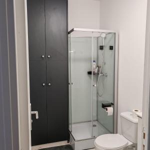a bathroom with a glass shower and a toilet at Le patio Aristide in Champigny-sur-Marne +24 photos