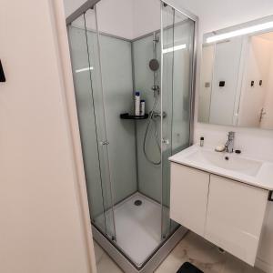 a bathroom with a shower and a sink at Jardin Briand in Champigny-sur-Marne