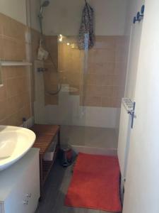 a bathroom with a shower and a red rug at Duplex Praloup in Uvernet-Fours