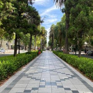 Κήπος έξω από το Complejo 9 de Julio