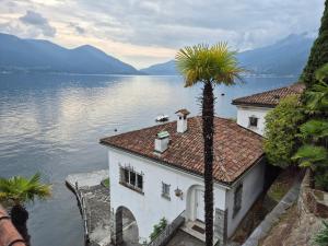 Seefront Villa in Ascona - Lago Maggiore, Ticino في أسكونا: منزل على الماء بالنخيل