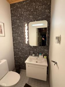 a bathroom with a sink and a toilet and a mirror at Riverside Villa Aurora in Rovaniemi