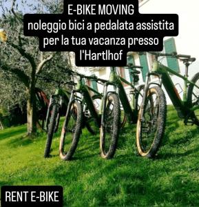 Gallery image of HartlHof in Proves