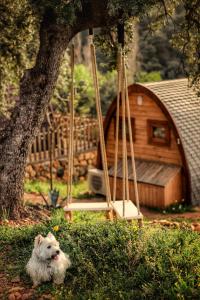 biały pies siedzący w trawie obok huśtawki w obiekcie CORK VALLEY - Pet Friendly & Only Adults w mieście Hontanar