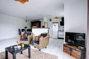Μια τηλεόραση ή/και κέντρο ψυχαγωγίας στο Villa Neptune jardin garage