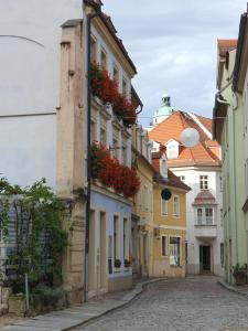 マイセンにあるFerienwohnung Ines Wolf in der Meißner Innenstadtの建物の花の街並み