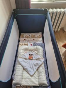 マイセンにあるFerienwohnung Ines Wolf in der Meißner Innenstadtのベビーベッド1台