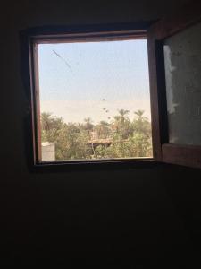 Fotografie z fotogalerie ubytování Oum House Siwa v destinaci Siwa