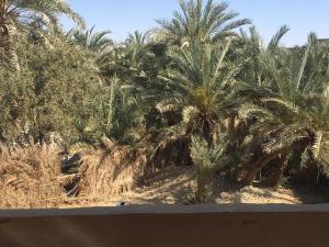 Fotografie z fotogalerie ubytování Oum House Siwa v destinaci Siwa