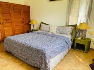 Un dormitorio con una cama grande y dos lámparas. en Villa Amour, en Sosúa 33 fotos más
