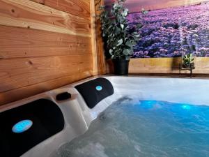 un jacuzzi dans une pièce avec un tableau dans l'établissement Luxe Vakantiehuis met privé Wellness, à Zuidwolde