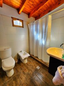 a bathroom with a toilet and a sink and a shower at El Torreón Lodge in Potrerillos +47 photos