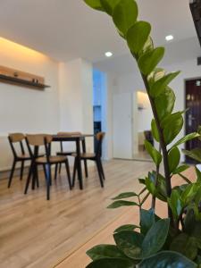 Η κουζίνα ή μικρή κουζίνα στο SaGa Apartament