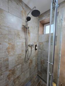a bathroom with a shower with a glass door at SaGa Apartament in Topliţa +3 photos