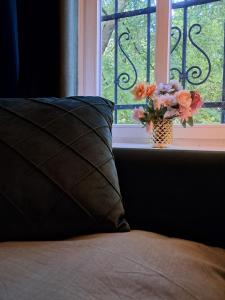Gallery image of Hostel Bertha-Marie Smaragd Oase in Greifswald