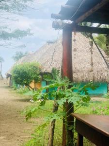 Zahrada ubytování Hotel Rancho Tranquilo Beach