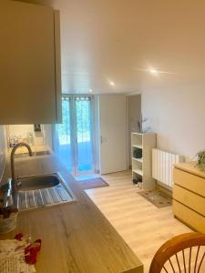a kitchen with a sink and a wooden floor at Le carolo in Tournes