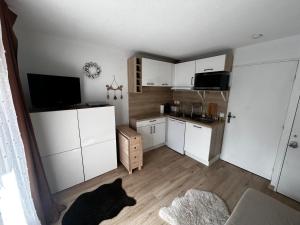 a kitchen with a black dog laying on the floor at Studio Risoul 1850 in Risoul +3 photos