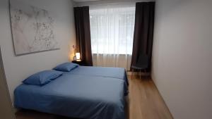 赖皮纳Räpina Guest Apartment的一间卧室配有一张带蓝色床单的床和一扇窗户。