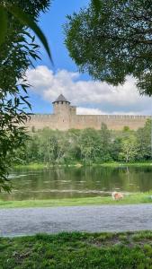 Příroda nedaleko apartmánu