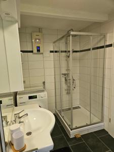a bathroom with a shower and a sink at Donau Apartment in Tuttlingen