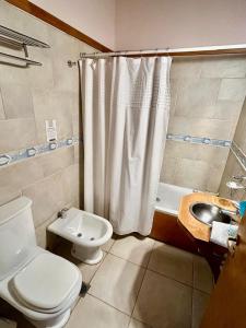 a bathroom with a toilet and a sink and a shower at Apart Hotel Orilla Mansa by Visionnaire in San Martín de los Andes +16 photos