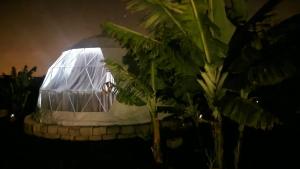 Domo Volcano Suite Experience PISCINA CLIMATIZADA外面的花园