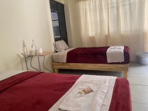 two beds in a bedroom with a robe on them at Nomada Hostel Oaxaca - Vive nómada! in Oaxaca City