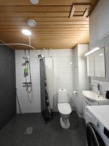 a bathroom with a toilet and a sink and a shower at Lovely 2R apartment, parking in Oulu