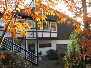 an exterior view of a house with autumn leaves at Pension Altenbeck & Ferienwohnung in Winterberg