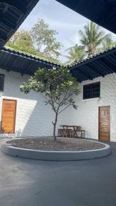 un árbol en círculo delante de un edificio en Think Koh Tao, en Ko Tao