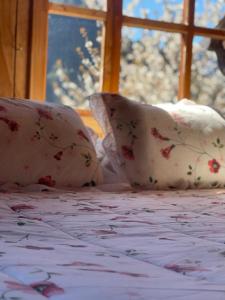 Ảnh trong thư viện ảnh của Las Cabañas del Lodge ở Villa Santa Lucía